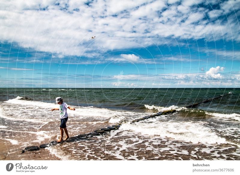 always stay in balance Playing Free Freedom To enjoy relax recover Clouds fischland-darß Germany Relaxation Break water Tourism Baltic coast Landscape