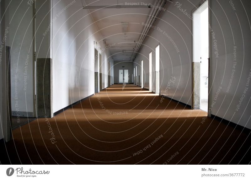 Long corridor in a vacant building Hallway Light Interior design lost places Mysterious door Infinity Passage built indoors Wall (building) Perspective Corridor