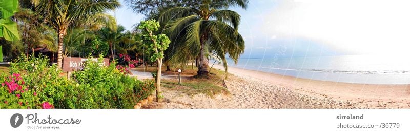 Koh Kho Khao Resort Thailand Beach Ocean Coast Sun Calm Palm tree Summer Panorama (View) Wide angle Vacation & Travel Loneliness Untouched Far-off places Sunset