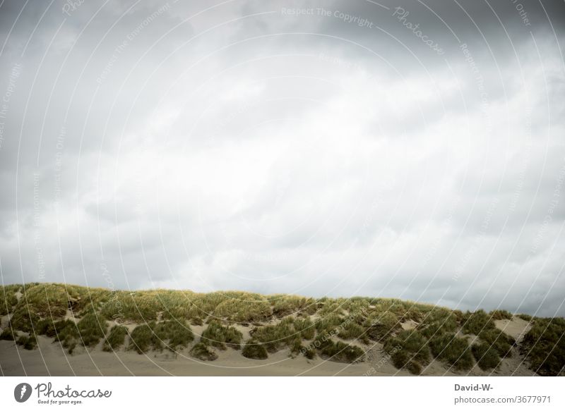 Dunes and sky dunes Sky North Sea Baltic Sea dune landscape Vacation destination tranquillity Relaxation vacation