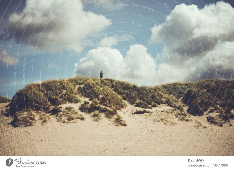 Man between huge dunes and clouds Holidaymakers Beach Clouds Far-off places adventurous Freedom tranquillity vacation Impressive