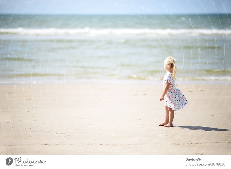 Girl stands in her summer dress on the beach and admires the many waters girl Ocean Beach Stand Sand by oneself Anonymous Rear view Cute already spellbound huge