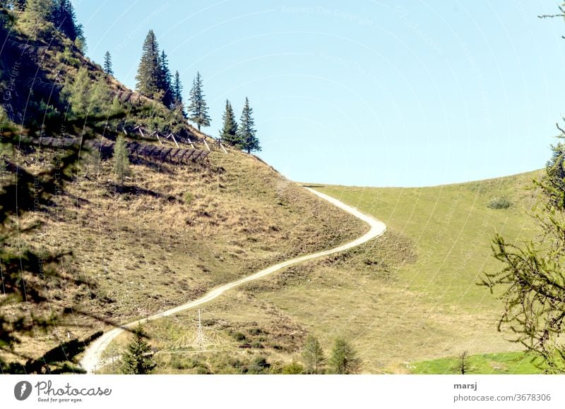 path that divides a hilly landscape in half off hillock Meadow Nature Grass Forest wooded wooded hill tree Blue Sky Hiking Landscape