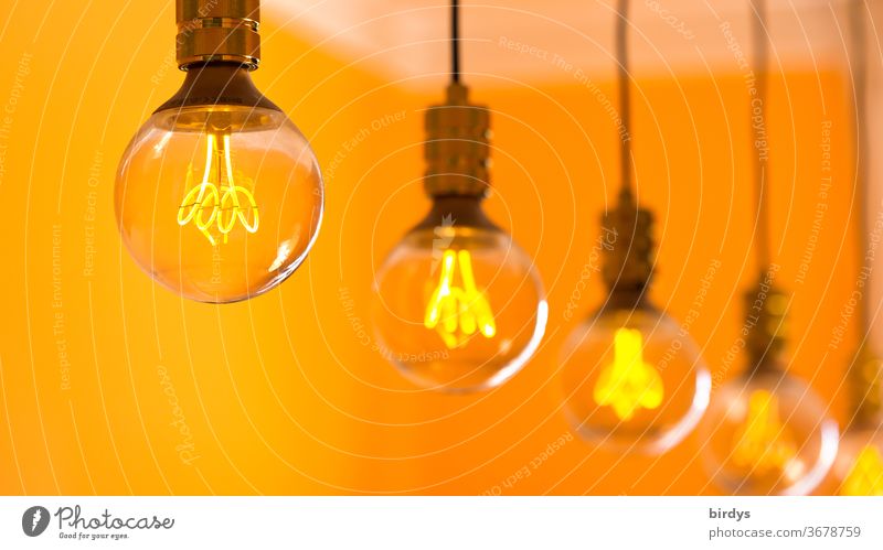 Orange-coloured LED lights in a row in incandescent optics, shallow depth of field Electric bulb Light Lamp Many Row Energy-saving bulb orange light filament