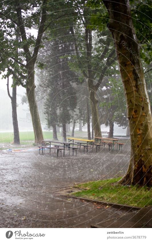 downpour Branch tree flowers blossom bleed Relaxation holidays Garden Grass Sky allotment Garden allotments Deserted Nature Plant Lawn tranquillity Garden plot