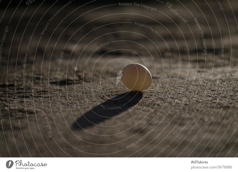 Bird egg on the concrete floor. framed to the left alone background beginning bird calm calmness closeup concept easter fragility grain growth healthy hobby