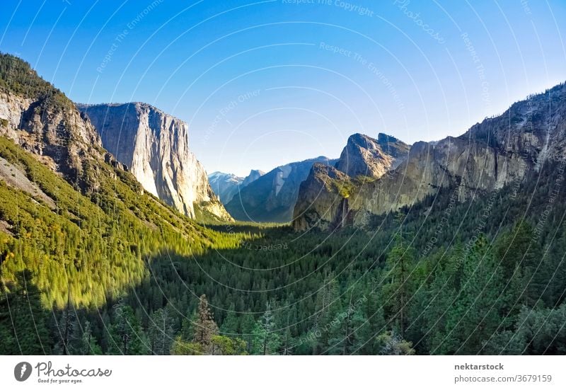 Yosemite National Park Forest Valley Yosemite national park forest pine valley cliff mountain Yosemite Valley rocks panorama long shot vanishing point sky sunny