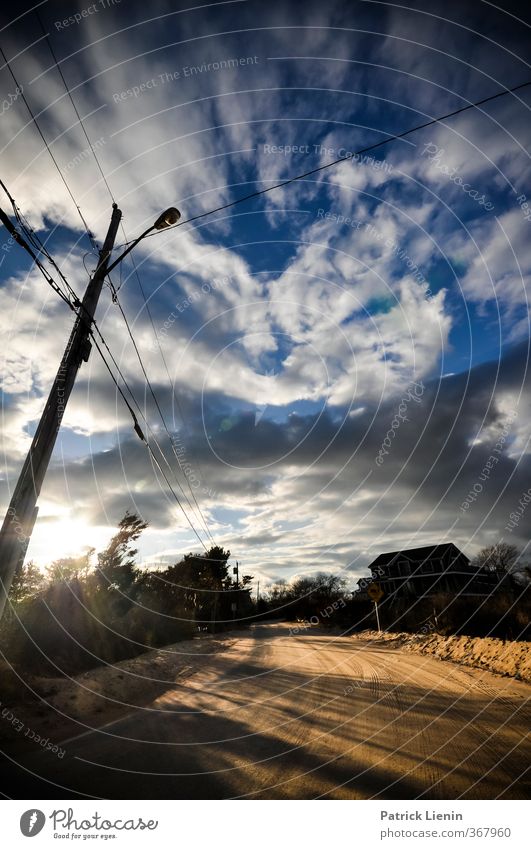 street spirit Environment Nature Landscape Elements Sand Sky Clouds Sunlight Climate Plant Tree Coast Adventure Energy Relaxation Freedom Network