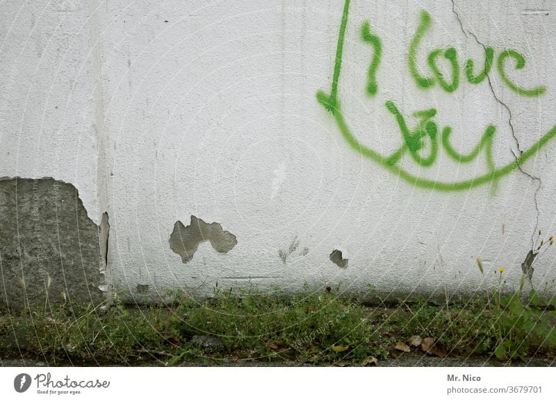 Expression of love Love Display of affection Graffiti Wall (building) Characters Declaration of love Wall (barrier) With love Plaster Grass Weed Plant Emotions