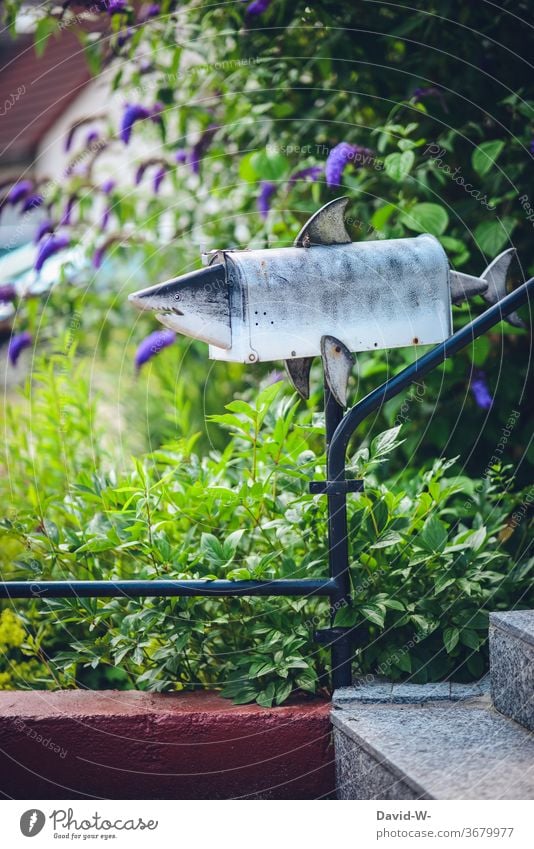 scary mailbox, better no bills... Mailbox shark Evil Alarming frightening Teeth Accounts Fear Face bad news Postman overcoming Muzzle Letter (Mail) Letters