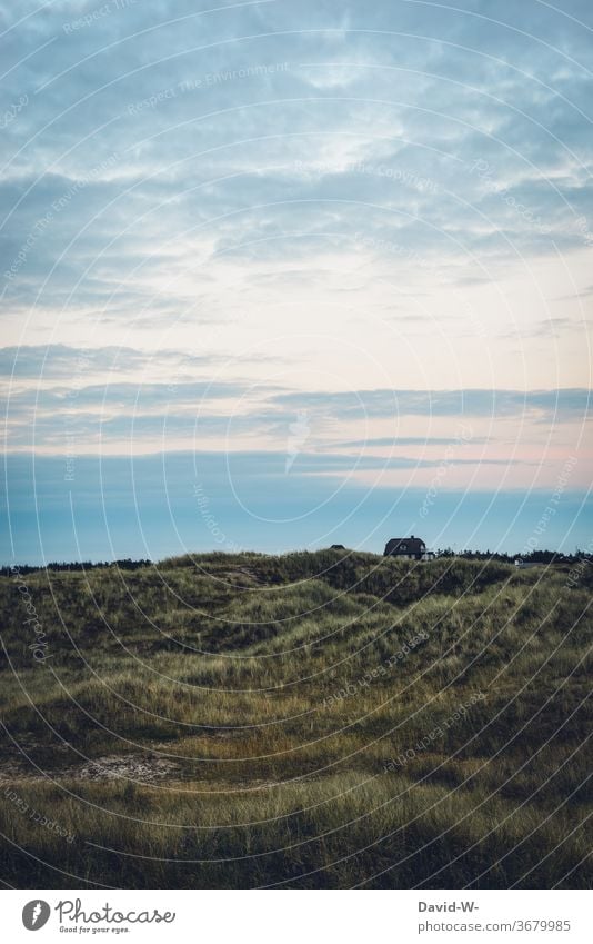 a lonely house with thatched roof in the dunes dune landscape Marram grass dune path Reet roof North Sea Vacation mood Lonely forsake sb./sth. Denmark Vejers