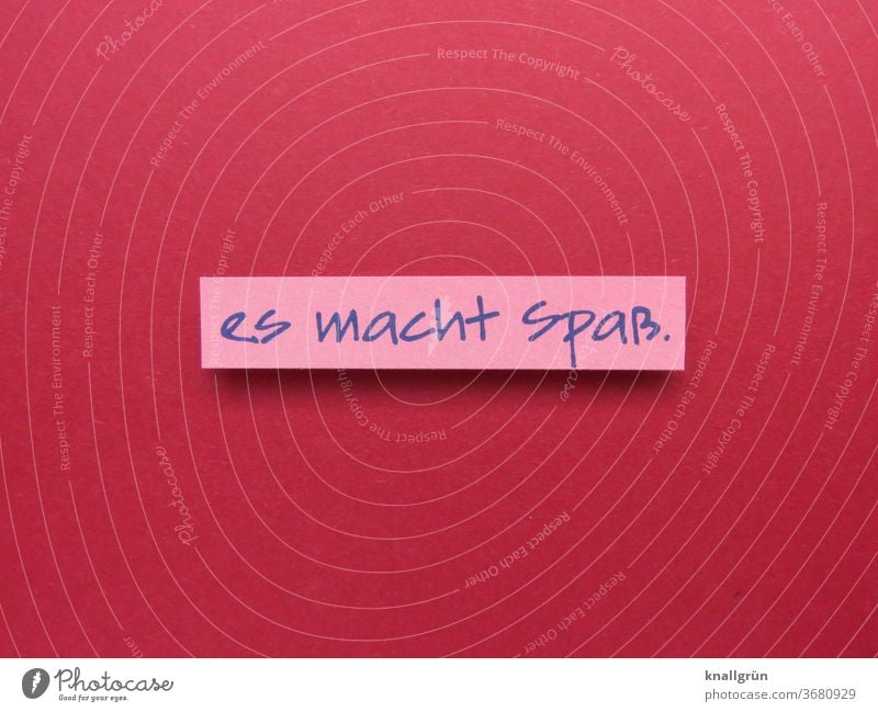 It's fun. Joy luck Emotions Happiness Lifestyle Human being attitude to life Ease Contentment Joie de vivre (Vitality) Optimism Enthusiasm Moody Euphoria