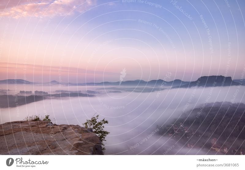 Fog over the Elbe Morning fog Good morning Sunrise Dawn Moody Landscape Nature Saxon Switzerland mountain mountains Elbsandstone mountains Bastei Colour photo