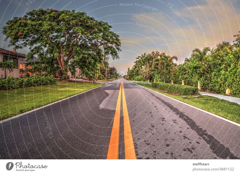 Stretch of road along Vanderbilt Drive in Naples Park Road journey roadway path travel Florida coast coastline coastal landscape nature sunrise dawn daybreak