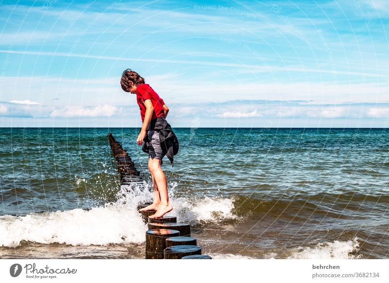 breakwater Contentment fortunate Happy muck about carefree untroubled Longing Ocean Darss wide Son Recklessness Wanderlust Dream Mecklenburg-Western Pomerania