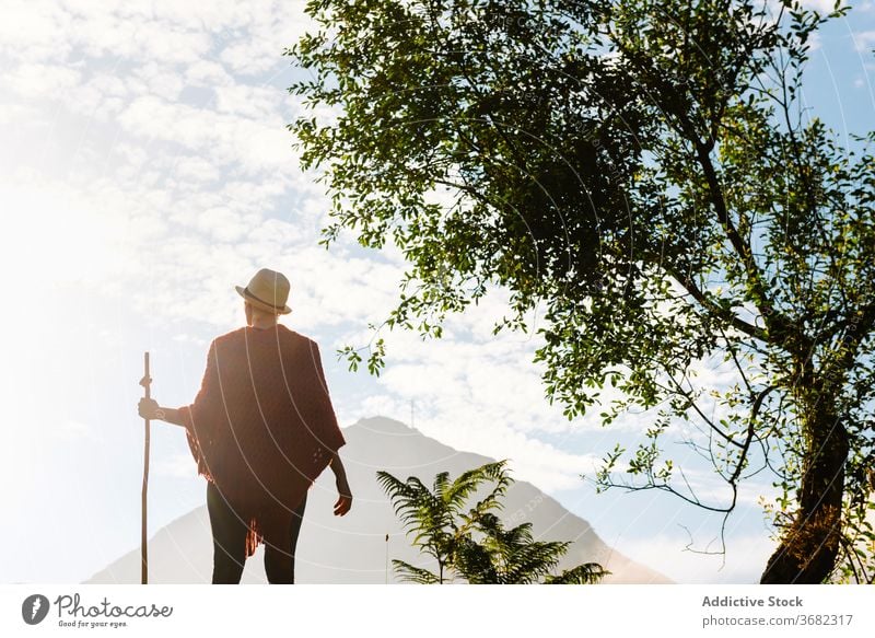 Traveler with wooden stick in highland area traveler mountain morning enjoy sunrise wanderer wanderlust staff landscape freedom peaceful idyllic nature tranquil