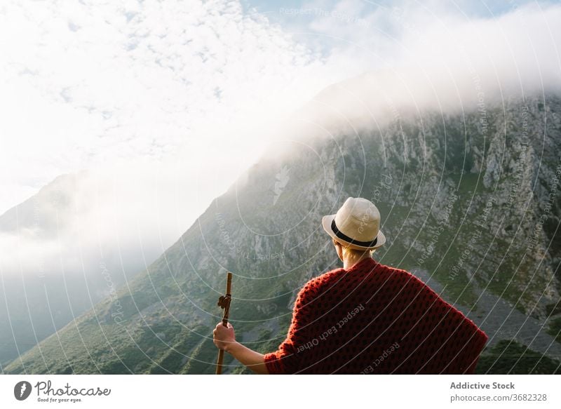 Traveler with wooden stick in highland area traveler mountain morning enjoy wanderer wanderlust staff landscape freedom peaceful idyllic nature tranquil relax