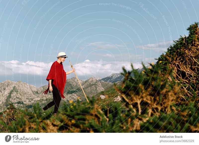 Woman in mountains in summer tranquil traveler enjoy woman sun highland vacation serene female holiday hill tourism trip journey amazing landscape valley nature