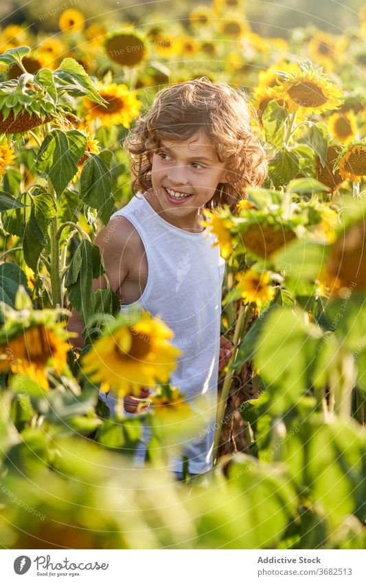 Cute child in blooming sunflower field boy enjoy summer meadow blossom preteen nature happy smile countryside cheerful green yellow color kid vivid vibrant male