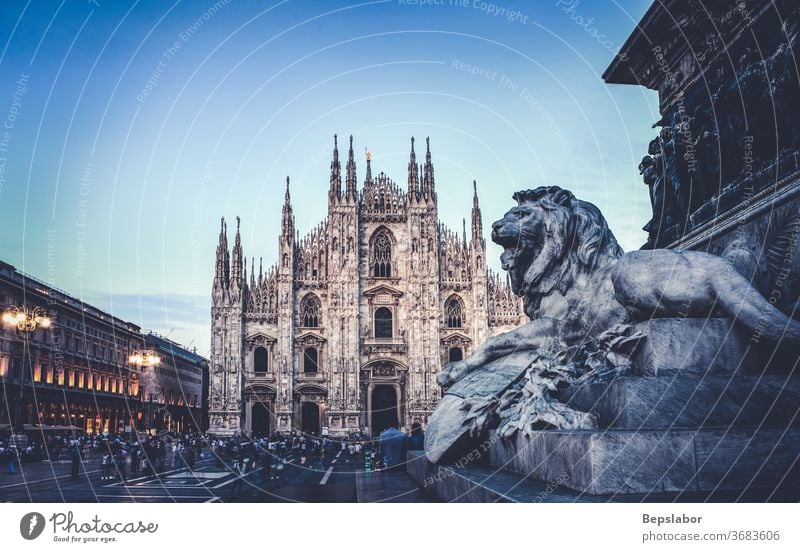 Lion, sculpture of the Vittorio Emanuele II monument in Piazza Duomo, Milan - Italy antique architecture art carving cathedral celebration christianity church