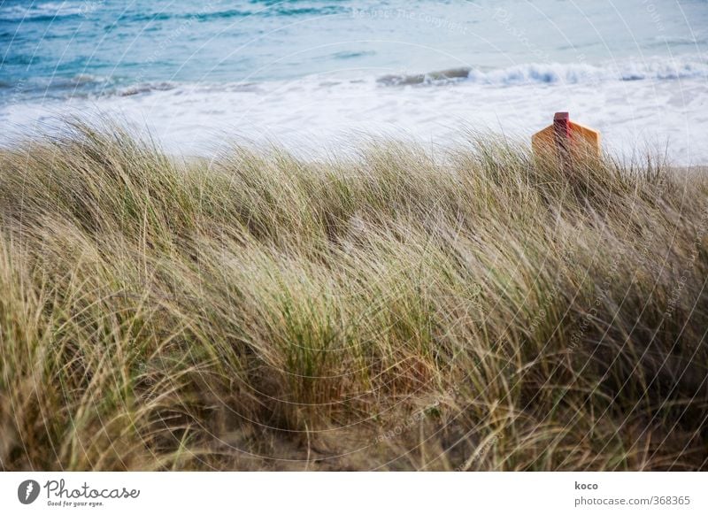 Behind the dunes Environment Nature Landscape Sand Water Summer Plant Grass Waves Coast Beach Ocean Dune Signs and labeling Signage Warning sign Simple Fluid