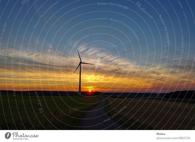 Sunny sunset with beautiful clouds and windmill silhouette background beauty bird black cloudy color colorful dark earth field gold grass grassland green high