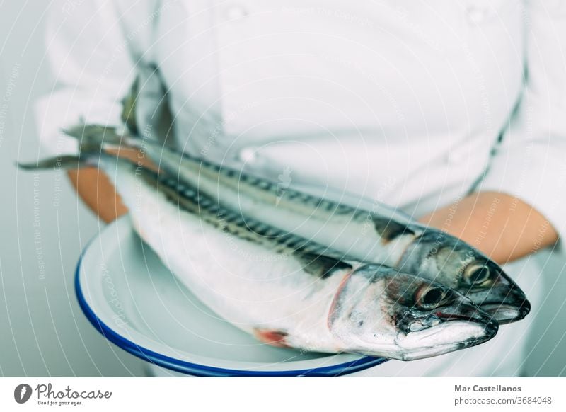 Woman in chef's clothes showing a dish with fresh fish. Kitchen concept. Fresh mackerel on a white plate. hand person professional kitchen natural wildlife