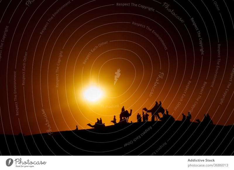 Travelers on camels against sunset sky caravan silhouette traveler people desert sundown dark india nature evening dusk tourism twilight journey sunlight trip