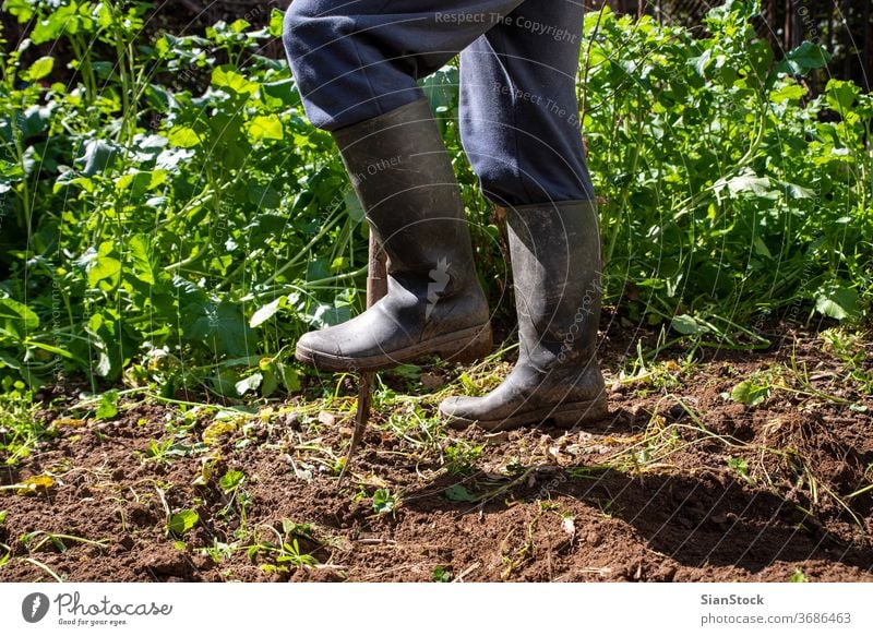 Man is digging spring soil with spading fork. Work in a garden rake spade farmer man boot hobby boots agriculture dirt shovel gardening cultivation tool