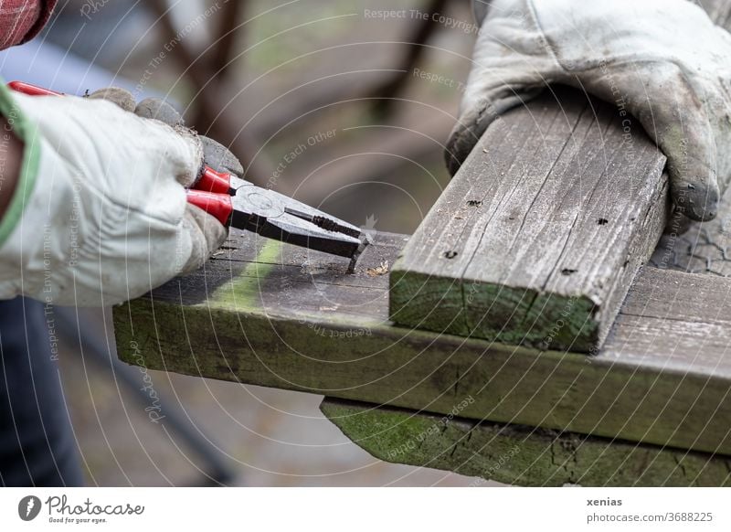 Do-it-yourselfers pull old nail with pliers from weathered wood nails Pair of pliers by hand glove To hold on Work gloves Nail clippers Man Handyman Old repair