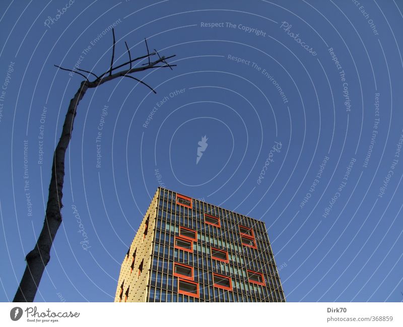 warning sign Cloudless sky Beautiful weather Tree Branch Town Deserted High-rise Manmade structures Building Architecture Office building Facade Glass Metal