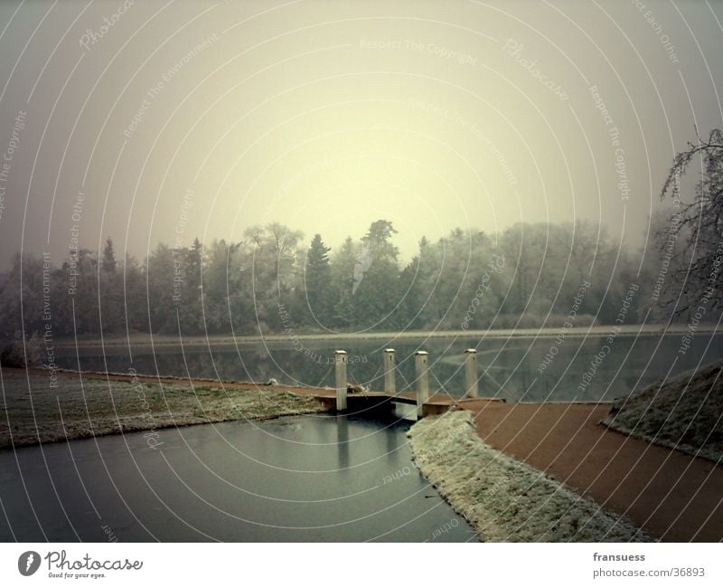 footbridge Lake Footbridge Water Wörtlitzer Park Frost Filter