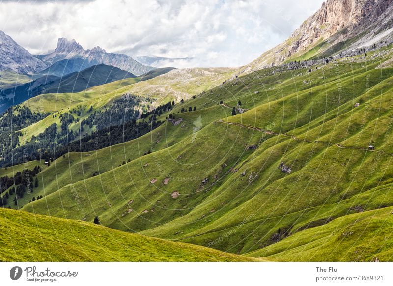 Summer in the Dolomites Alps Alpine pasture Mountain Meadow Clouds Nature Sky Rock Peak Hiking South Tyrol Panorama (View) Vacation & Travel Landscape High Alps