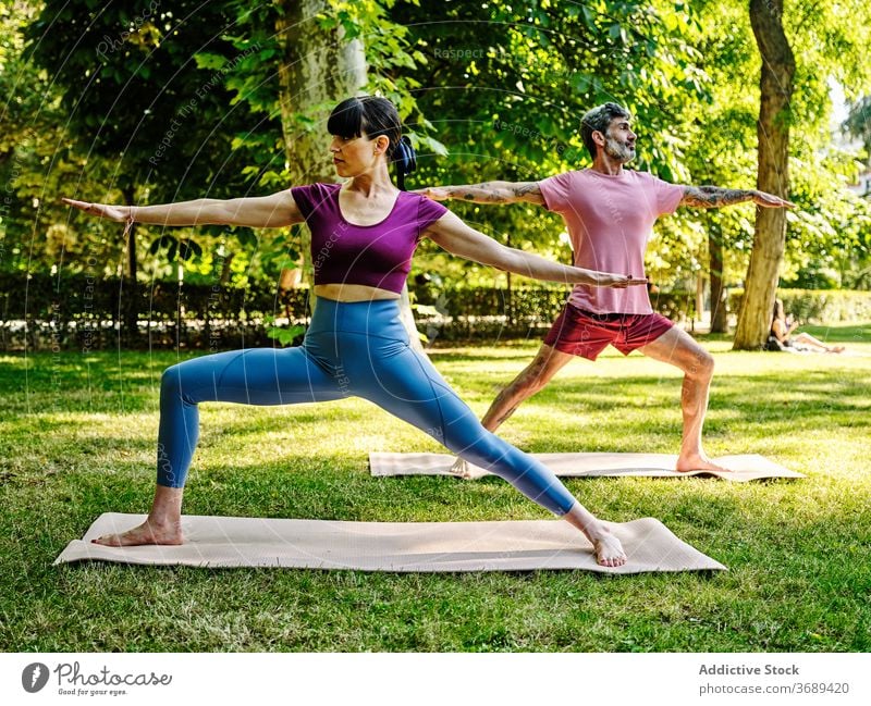 Calm couple practicing yoga in Warrior pose together warrior pose park barefoot sunny virabhadrasana training relationship tranquil healthy serene wellness