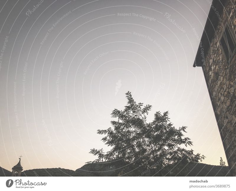 Leave the church in the village. Church Village Italy Facade tree Landscape Twilight Sky Silhouette Back-light Exterior shot Deserted Copy Space top