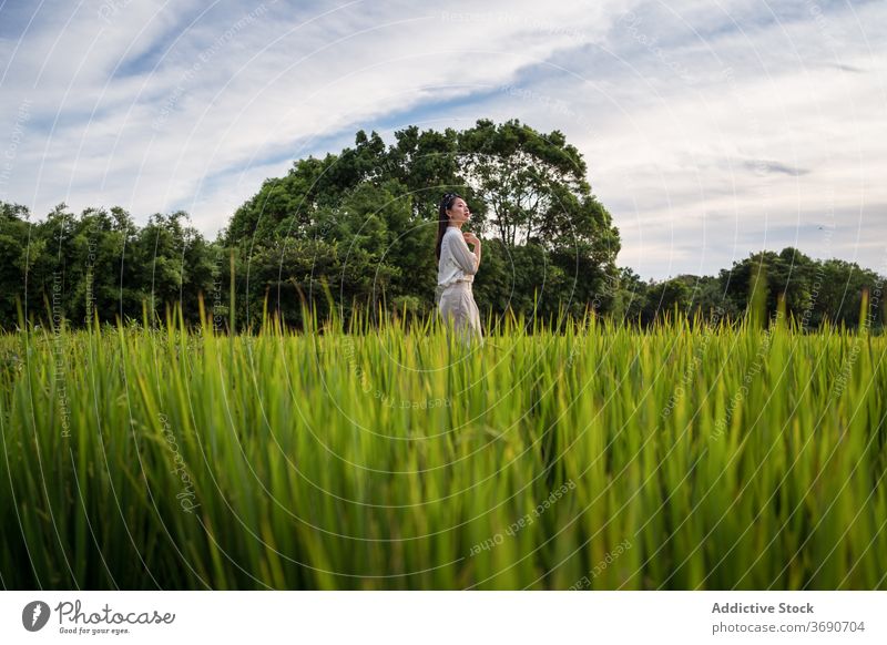 Asian woman in green field in summer rice lush enjoy weekend nature serene rest female ethnic asian tranquil relax calm peaceful stand harmony fresh lady