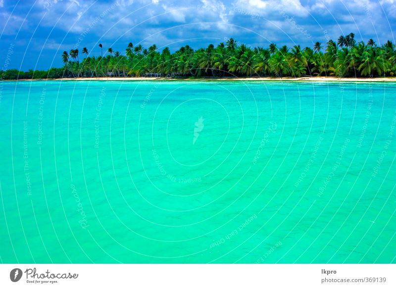 coastline and tree in republica dominicana Beach Ocean Island Waves Nature Sand Sky Clouds Tree Coast Blue Brown Green Black White water Tide Low tide foam