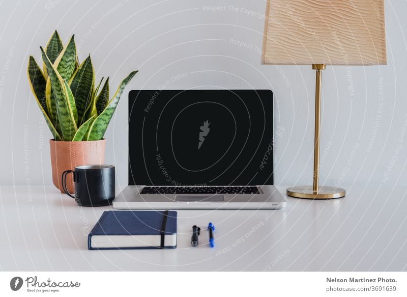 White and clean workspace. Laptop on a white table with a plant, a lamp and a black cup of coffee. desktop nobody business using workplace computer eatery