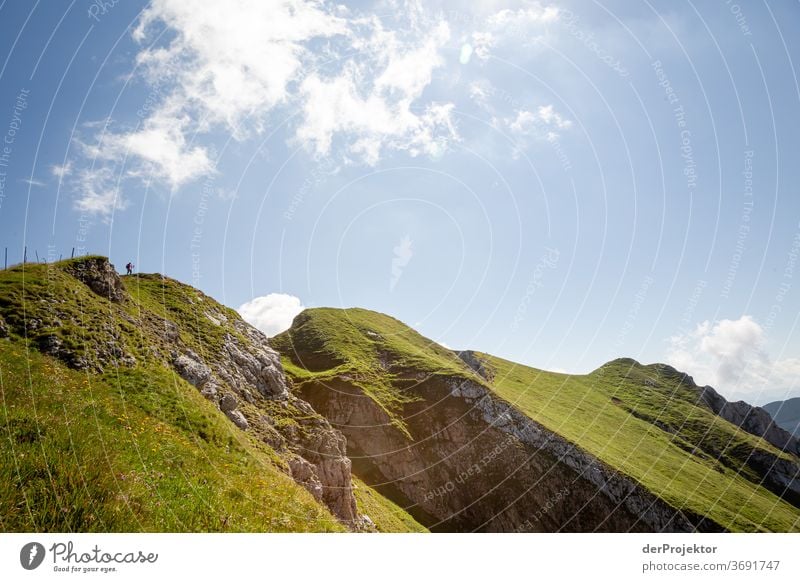 Hiking at the Achensee Nature Nature reserve Effort Environment Brave Beginning Mountain Colour photo Copy Space right Shadow Sunlight Beautiful weather Force