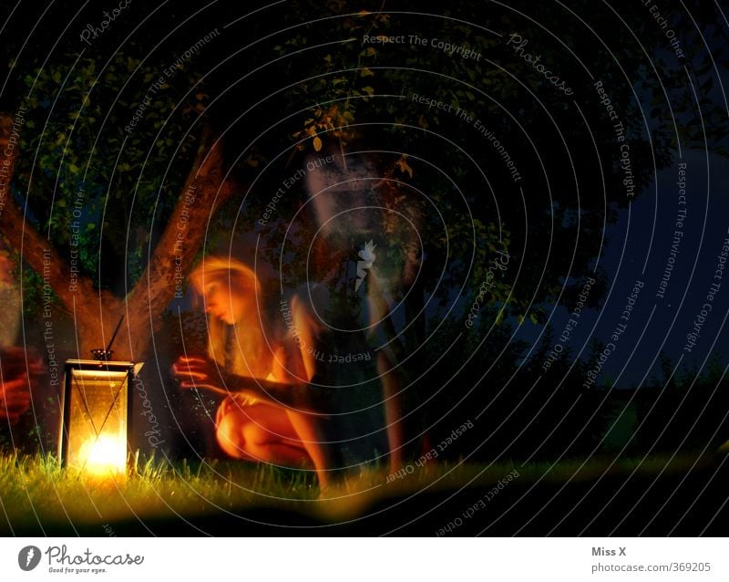 forest spirit Camping Summer Night life Human being Feminine Young woman Youth (Young adults) Woman Adults 1 18 - 30 years Night sky Tree Garden Creepy Emotions