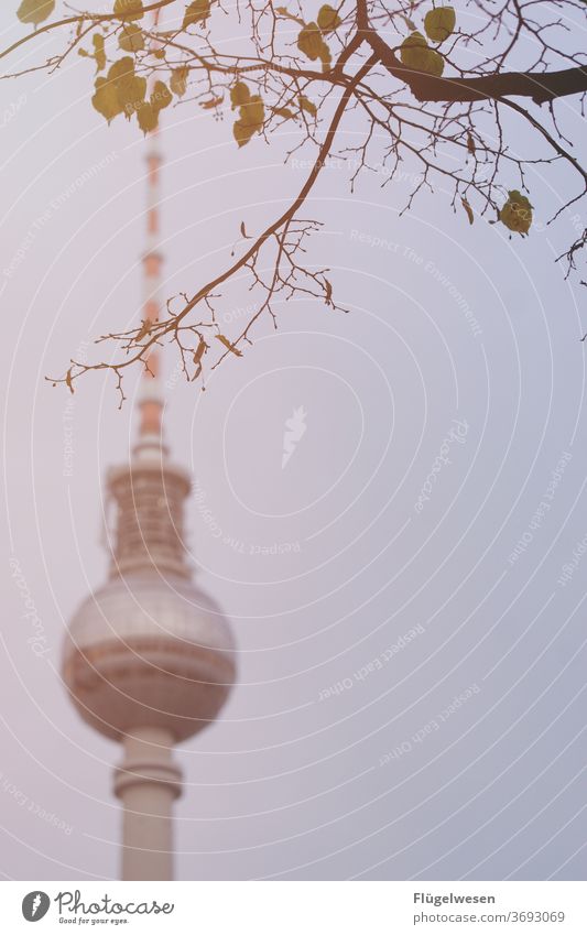 Bearlin II Berlin Berlin TV Tower Downtown Berlin The Wall outlook Lookout tower Blur