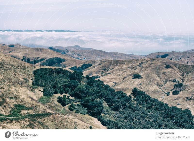 west coast Fog Shroud of fog Misty atmosphere Fog bank Sea of fog Wall of fog Cloud forest Covering of fog Patch of fog Vantage point Americas USA Mountain