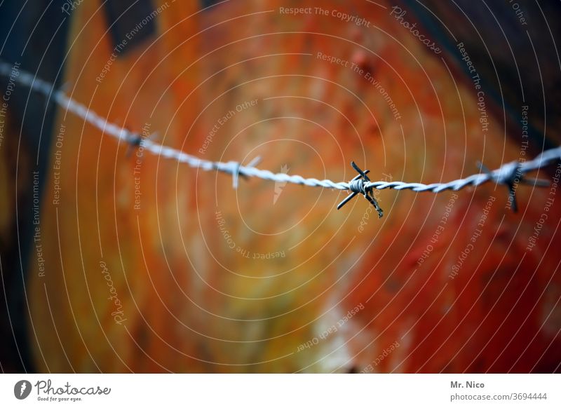 Barbed wire before still life Fence Border Barrier Protection Art Work of art Safety Wire Dangerous Boundary Point Freedom Metalware Thorny Deserted Fear Threat