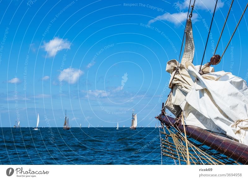 Sailing ships on the Hanse Sail in Rostock Windjammer Warnemünde Baltic Sea Ocean Coast Maritime seafaring Navigation Baltic coast Sky Clouds Blue Water