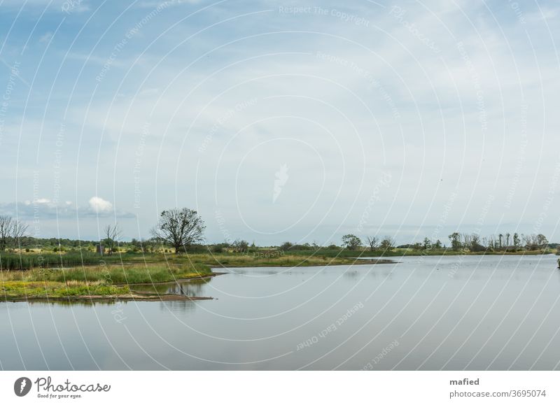 Summer day in the Geltinger Birk nature reserve Landscape Water Beautiful weather Exterior shot Deserted Sky Subdued colour Calm Day green Blue Relaxation