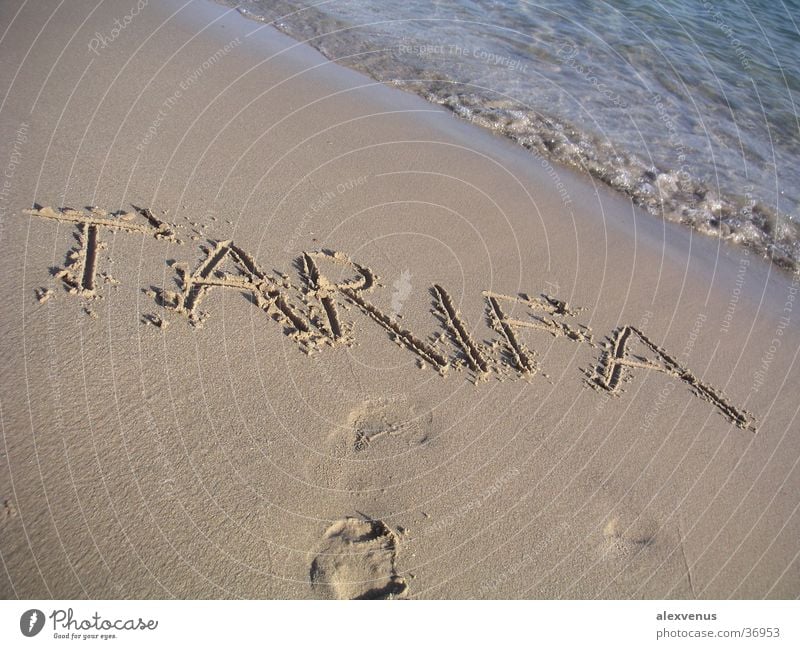 tarifa Europe Tarifa Beach Ocean Characters Sand South