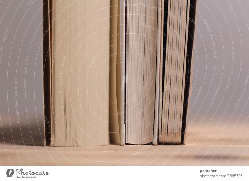 Three books of different thicknesses with white pages stand close together on a wooden table. Supporting each other, holding together Reading Education