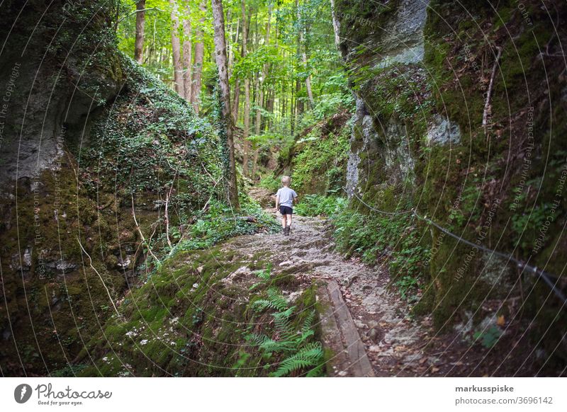 Hiking trail Franconian Switzerland Nature Park Upper Franconia mountain cult site customs hiking destination Discover enjoyment Beer garden