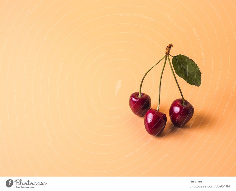 Cherry on yellow creamy background, copy space cherry cherries beige background veganism vegetarianism summer ripe fresh bunch 3 berries green leaf left red