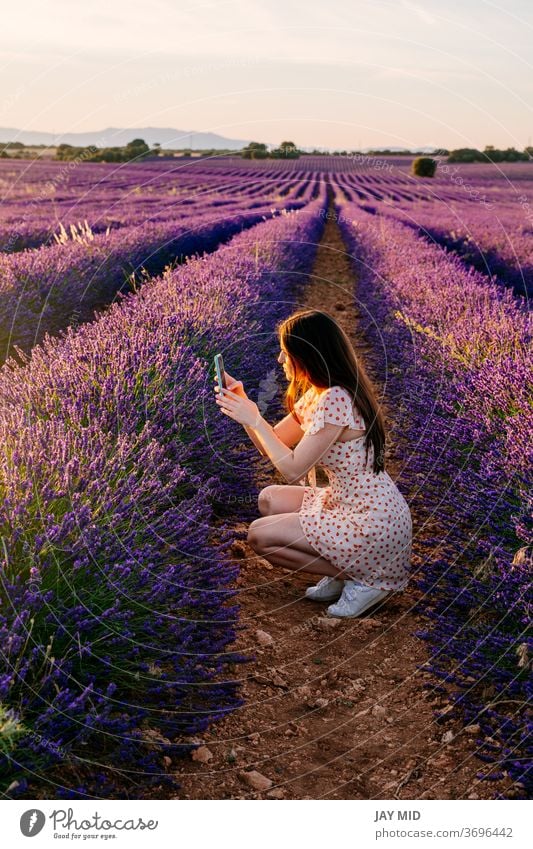 Woman in nature taking pictures of flowers during vacation. woman selfie phone summer field happy beautiful countryside traveller female lavender portrait